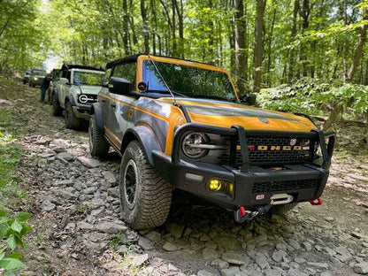 #johnson_valley_mustang