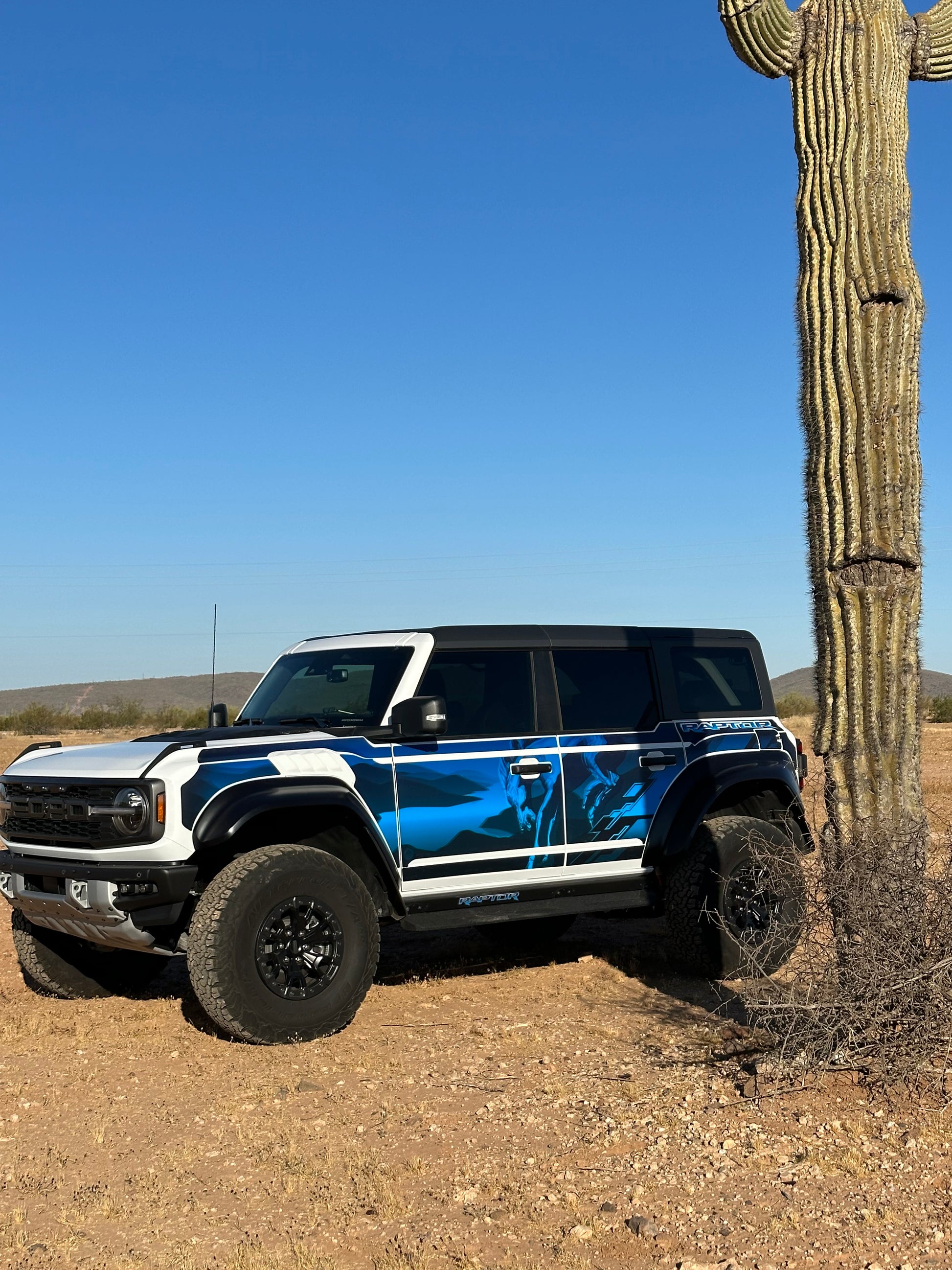 #9500-2761_blue_mustang