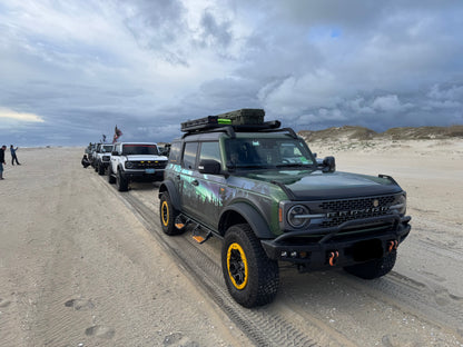 #9400-3187_northern_lights_sasquatch