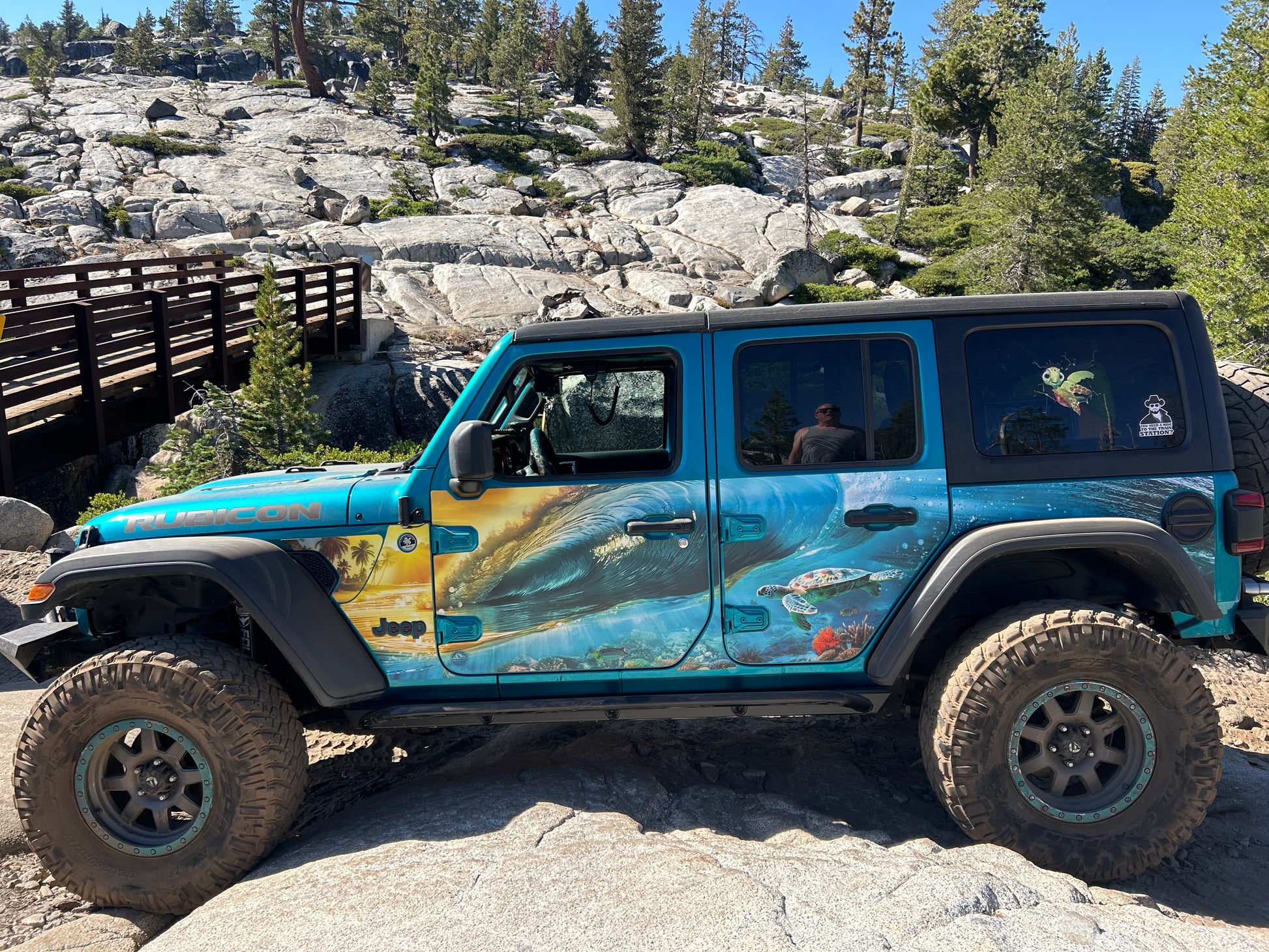 #5400-3283_sea_turtle