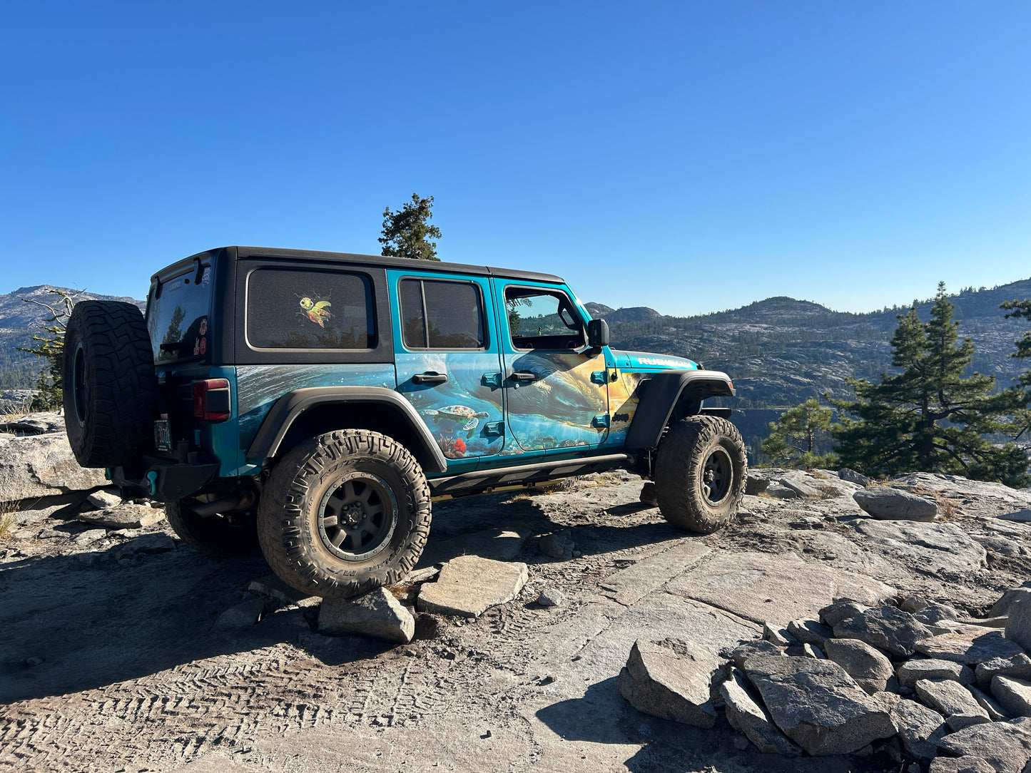 #5400-3283_sea_turtle