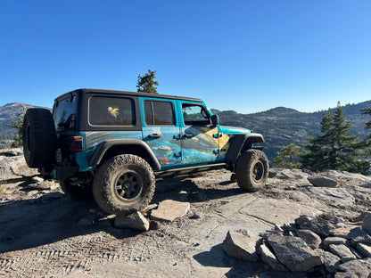 #5400-3283_sea_turtle